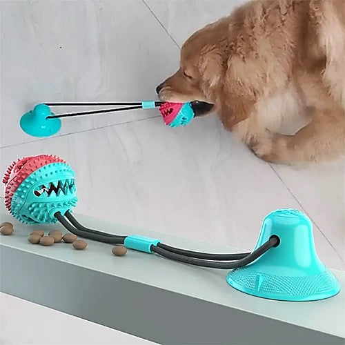 Suction cup interactive ball toy for dogs — dog playing tug of war