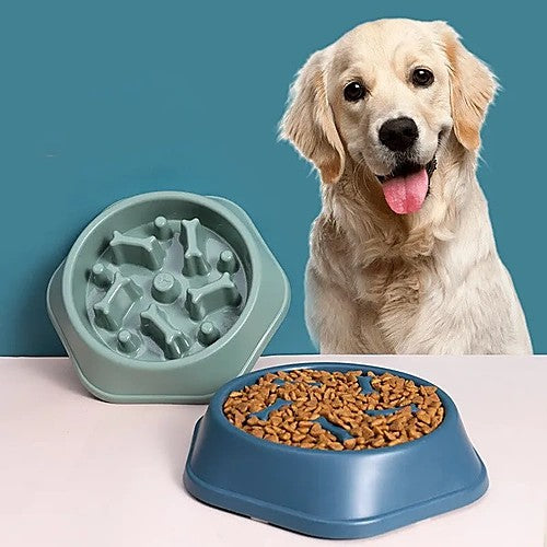 Slow feeder pet bowl — dog with bowl lifestyle photo