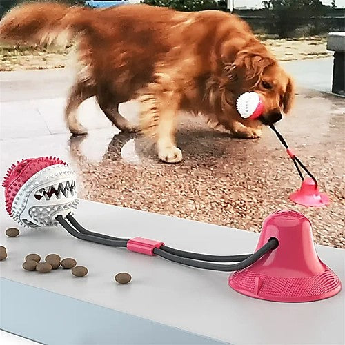Suction cup interactive ball toy for dogs — dog playing with treat ball