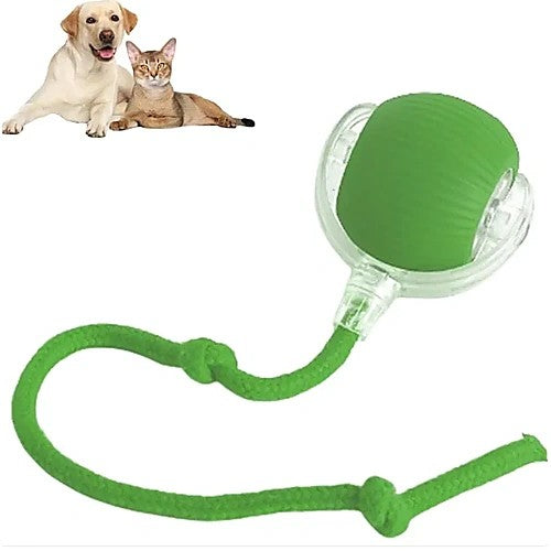 Smart automatic rolling ball for cats and dogs — green color variant with rope