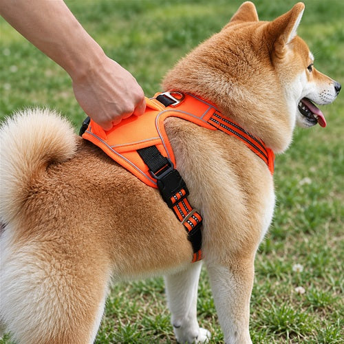 Durable waterproof pet harness with vertical handle - a shiba Inu dog wearing a bright orange and black reflective dog harness