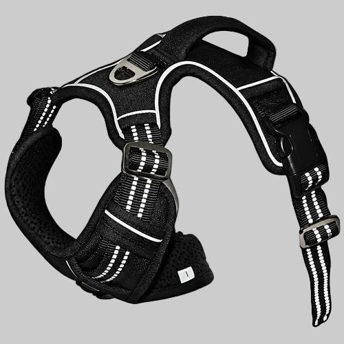 Durable waterproof pet harness with vertical handle — main product view black