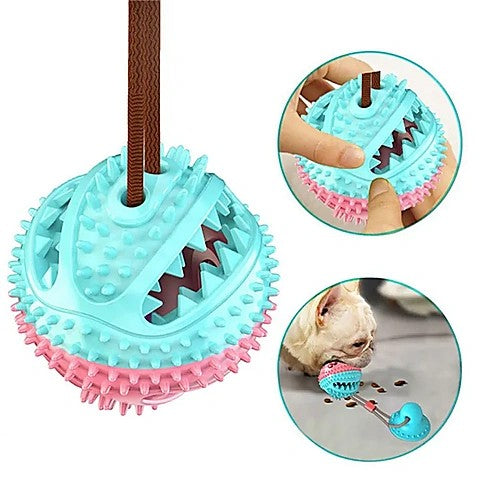 Suction cup interactive ball toy for dogs — color variants overview