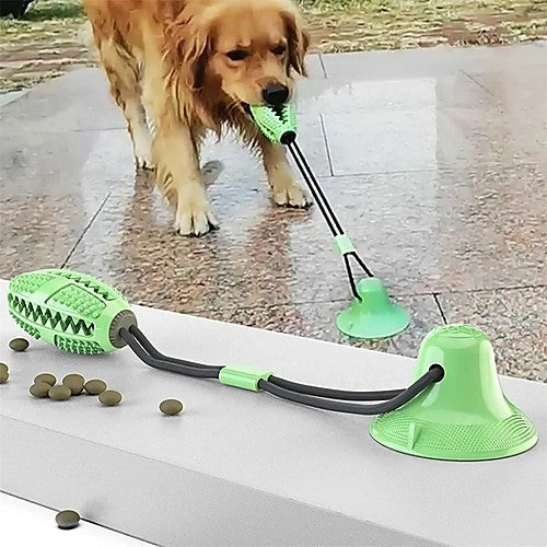 Suction cup interactive ball toy for dogs — golden retriever playing on floor