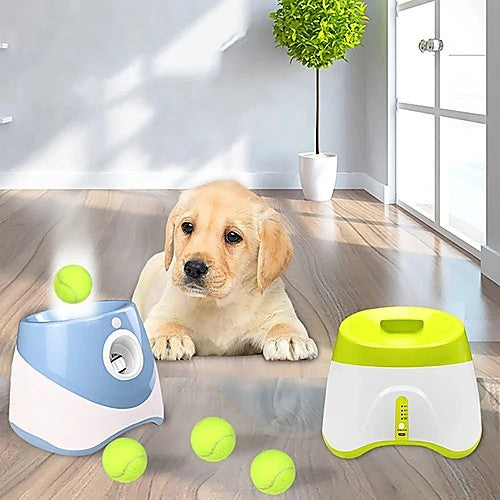 Automatic tennis ball launcher for dogs — golden retriever with launcher