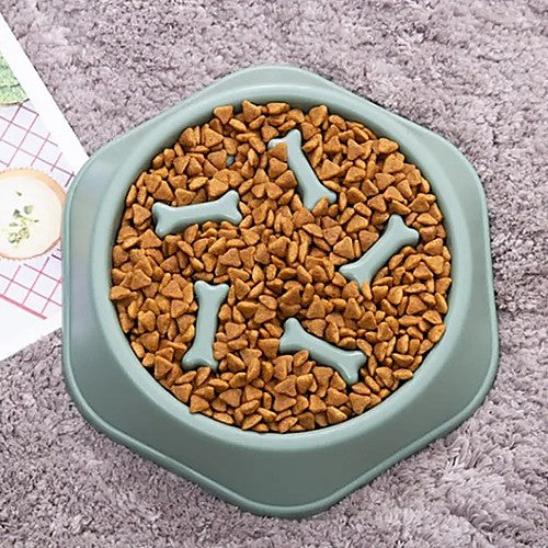 Slow feeder pet bowl — bowl filled with kibble