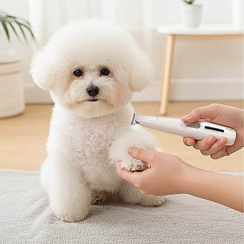 Pet paw trimmer with LED light — dog grooming lifestyle photo