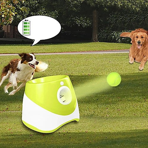 Automatic tennis ball launcher for dogs — dog playing fetch outdoor lifestyle